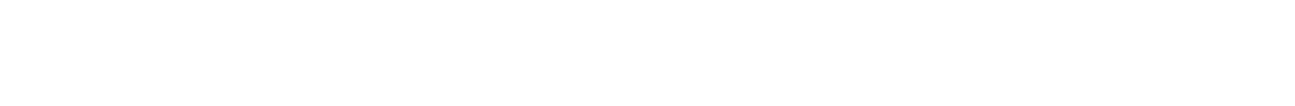 Pixelpionierin